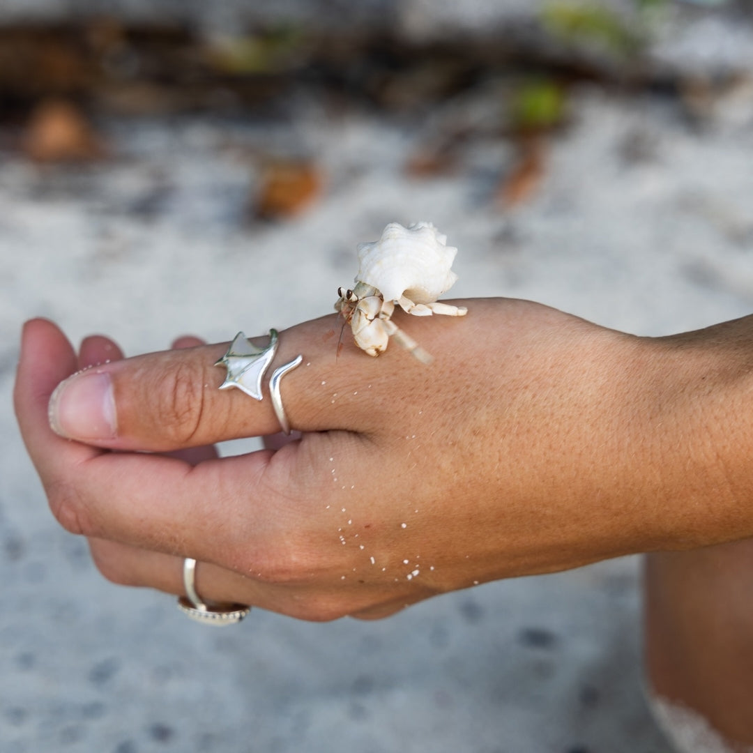 Manta Bianca Ring (925)