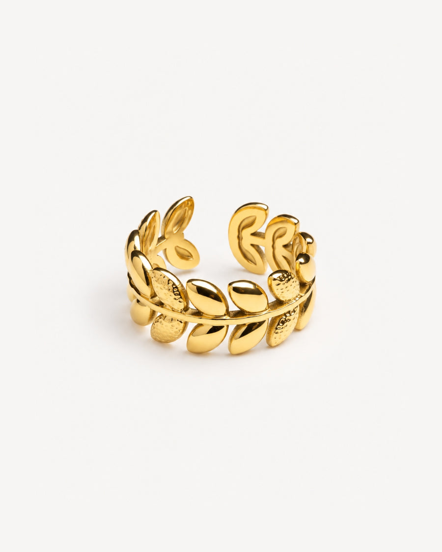 Anello Ulivo