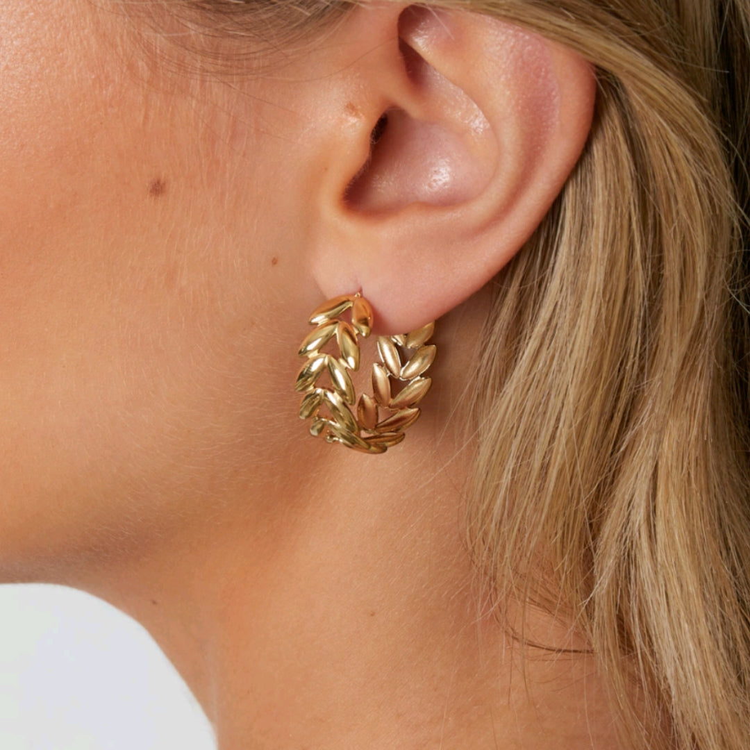 Ulivo Ohrringe